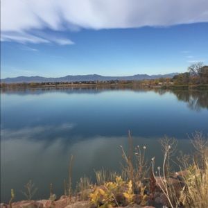 Meet your Posher, Jayneanne